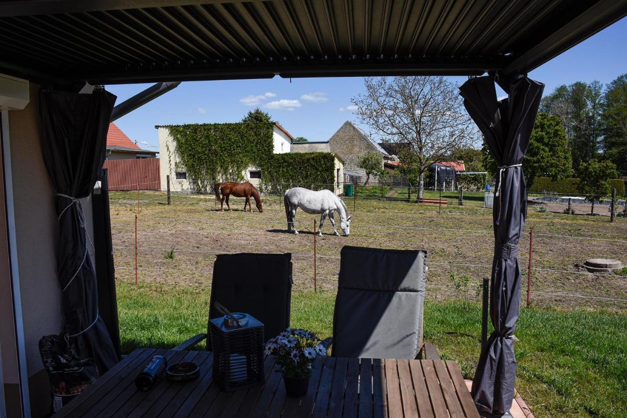 Barrierefreie Ferienwohnung Trueben Bornum Exterior foto